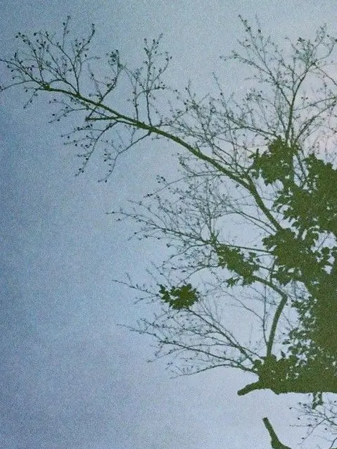 Memeton의 お兄ちゃんは有名バンド