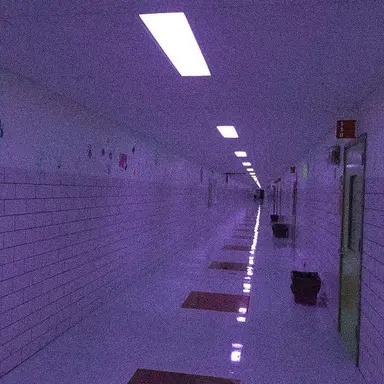 Profile image of 수현