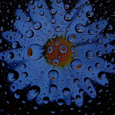 Profile image of 팰리스