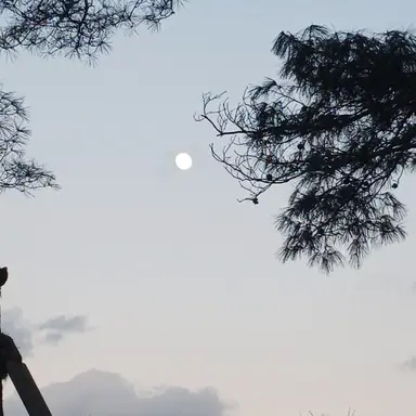 Profile image of 르와르