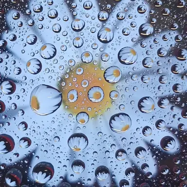 Profile image of 스타렛