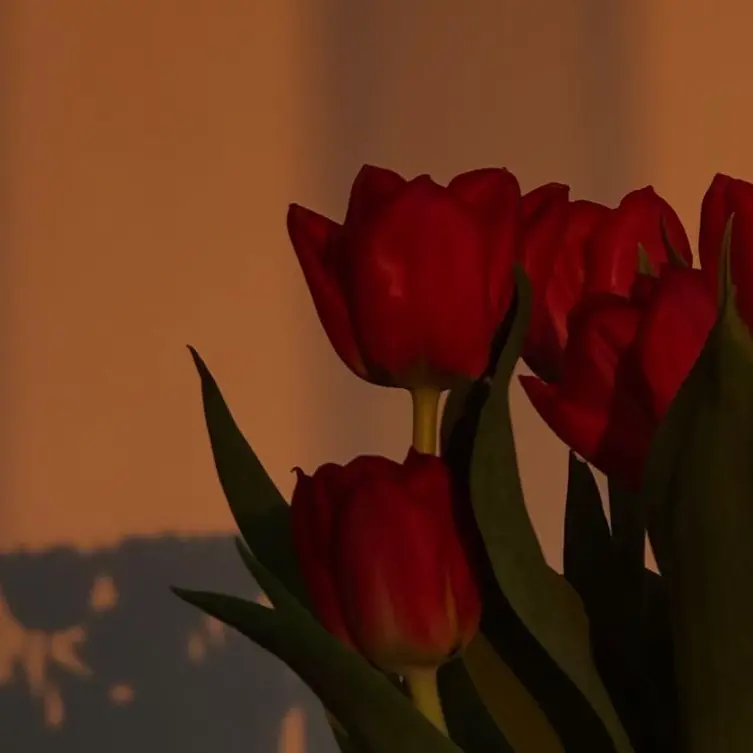 nighter_u의 𝔻𝕒𝕗𝕗𝕠𝕕𝕚𝕝