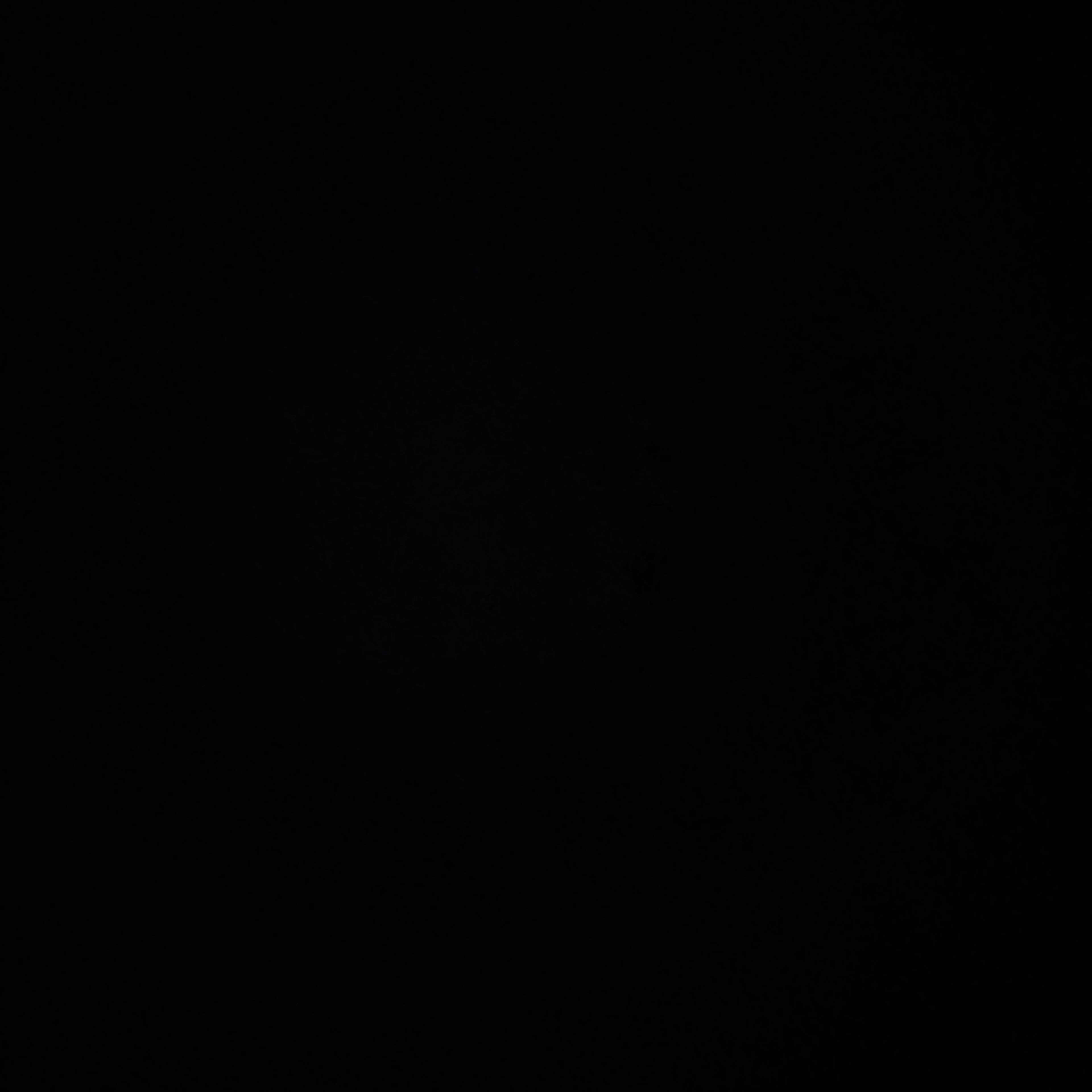 동민