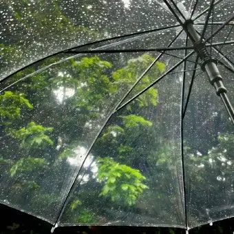Profile image of 발락 클라라