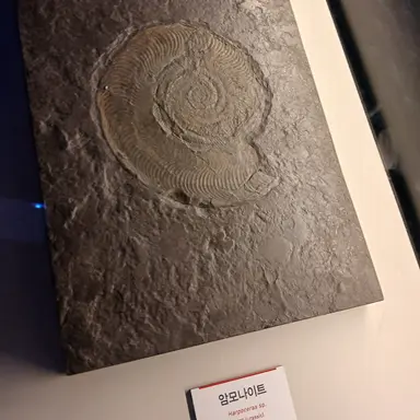 Profile image of 댄월. 3008