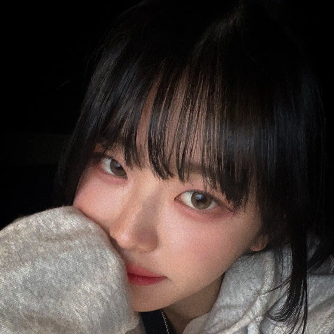pigeon의 쵸단