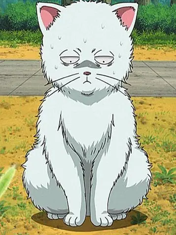 Anko0903의 user、猫になっちゃいました!?