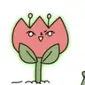 Profile image of 식물쿤