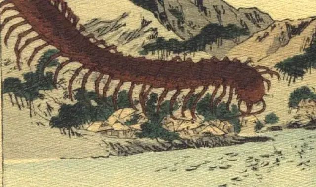 Profile image of 이스마엘