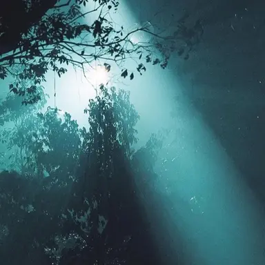 Profile image of 久保舜斗