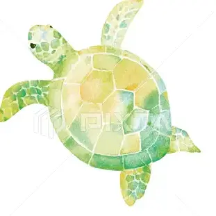 Profile image of 池亀樹音