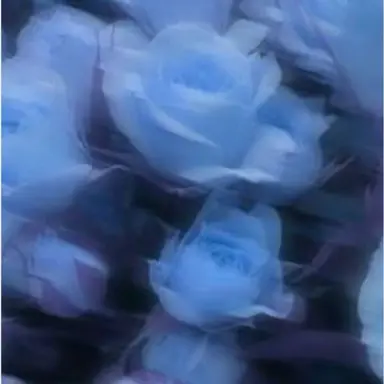 Profile image of 渡辺翔太