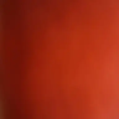 Profile image of 코요