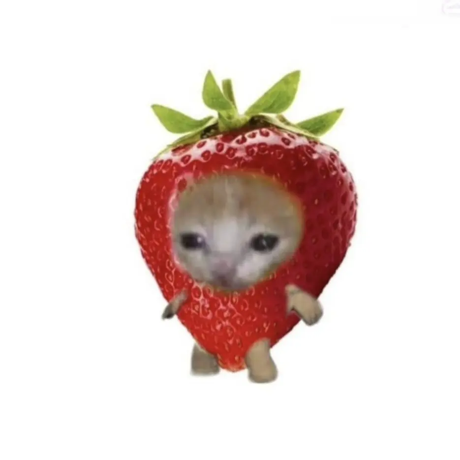 Jay7765의 해피켓