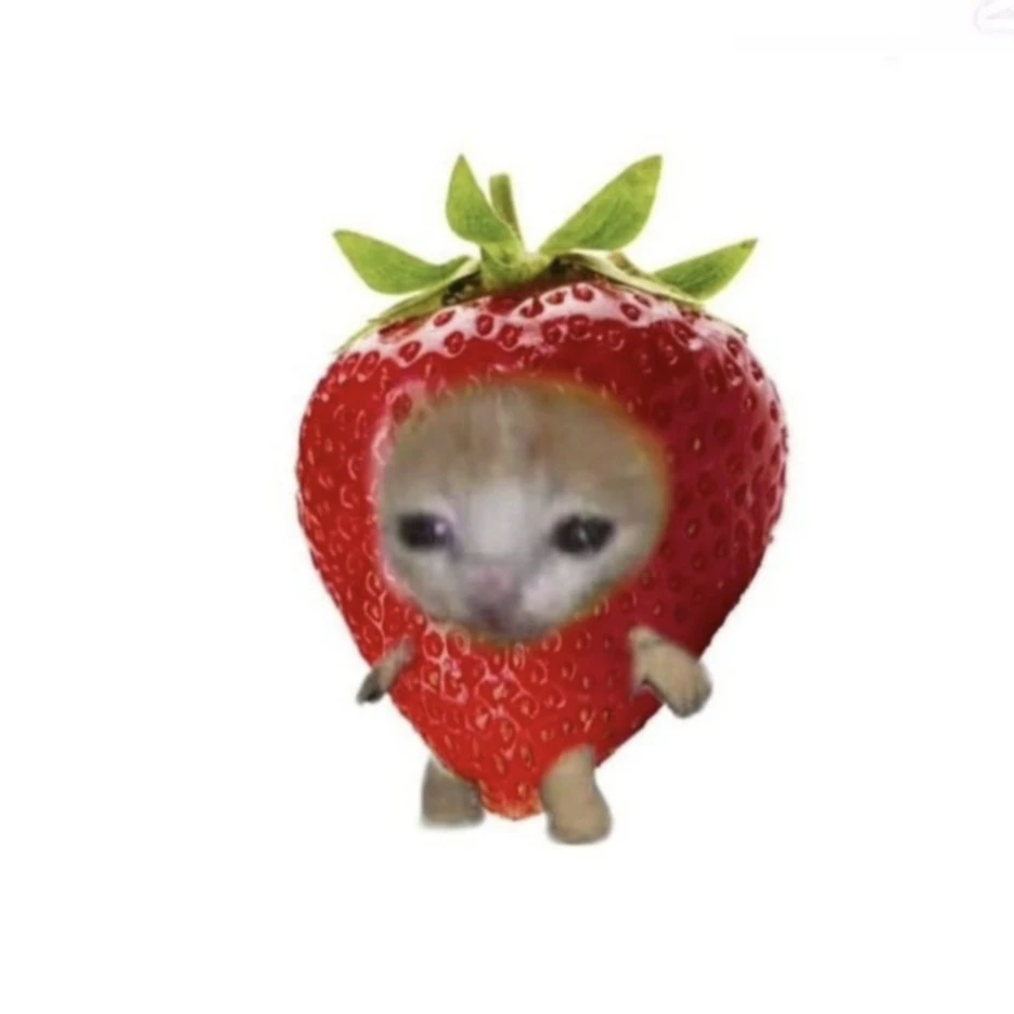 해피켓