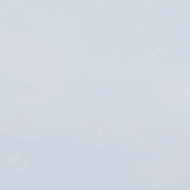 Komomo2의 히로세 료