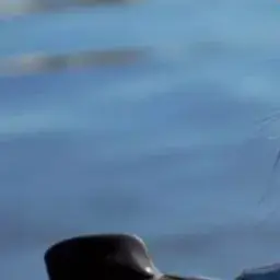 Profile image of 첸