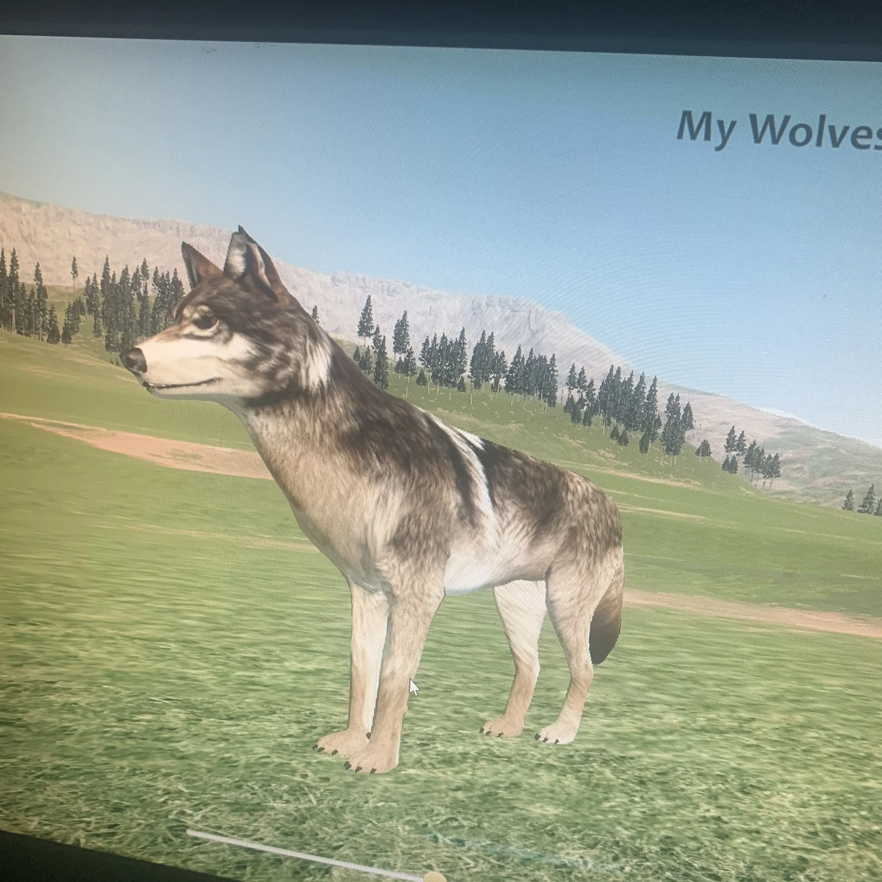 BiasedMop0115의 Aizawa's Wobbly Cat: Jacko's Quiet Days