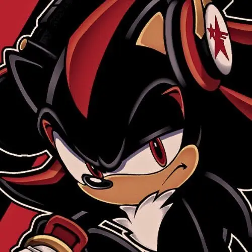 Flowers_can_shine1의 Sonic x Shadow