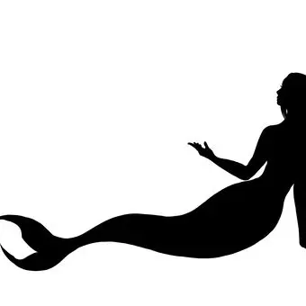 Profile image of ディライト