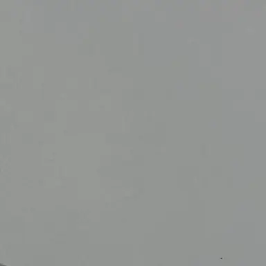 Profile image of 才