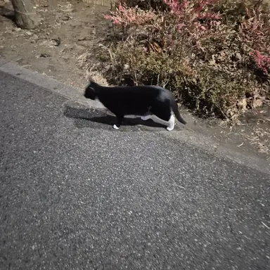 Profile image of 이민형