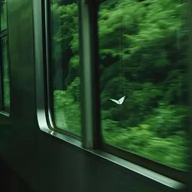 Profile image of 정형준