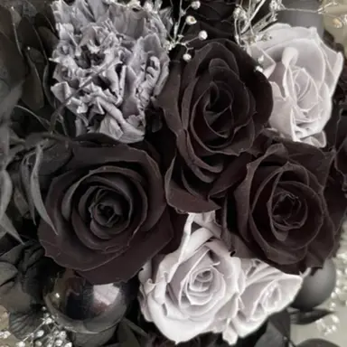 Profile image of 目黒蓮