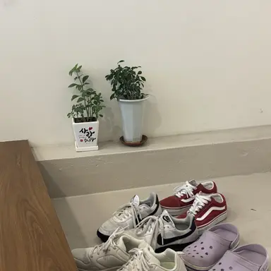 Profile image of 박성호