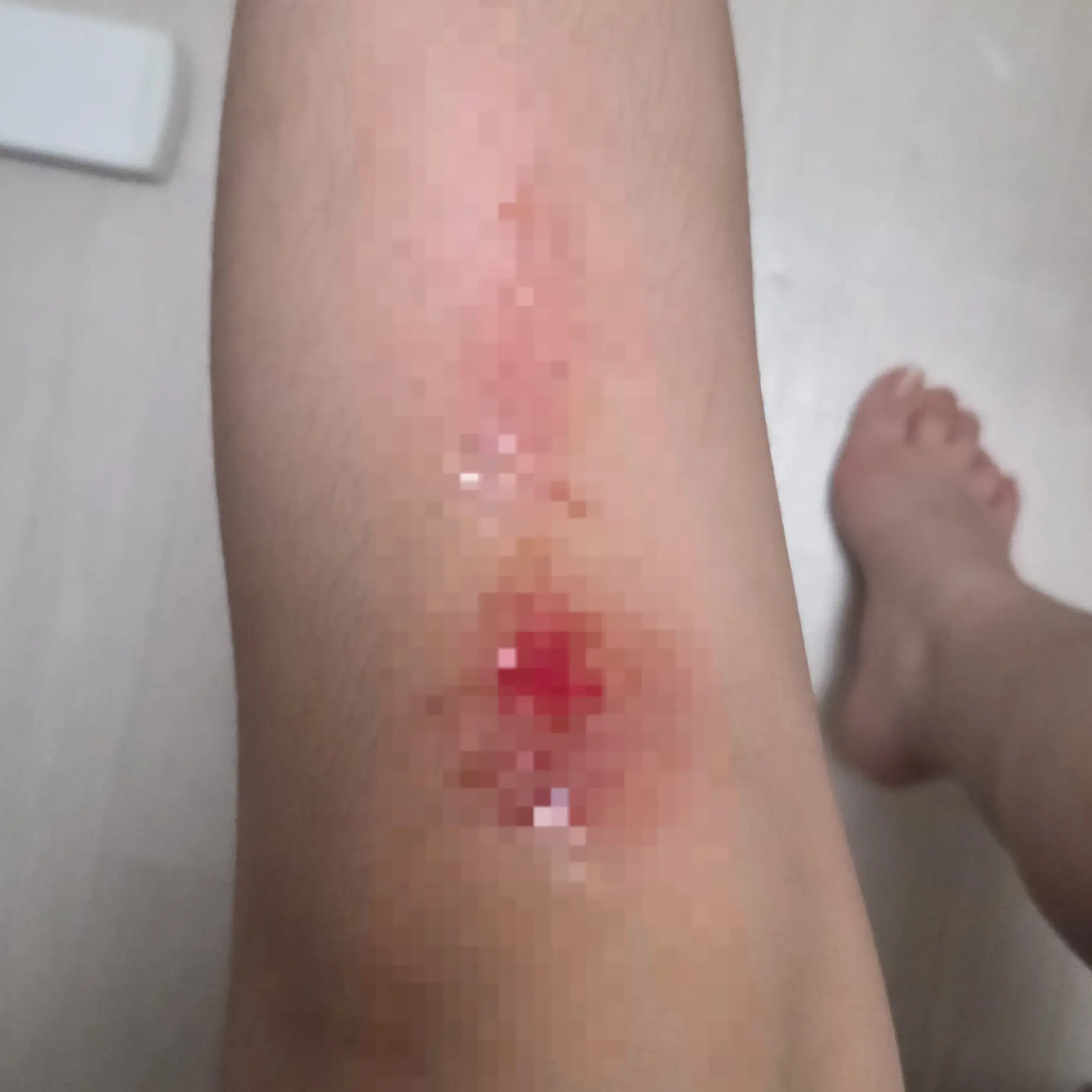 MatureMedal5761의 꿈뜰학교시리즈-정령학교