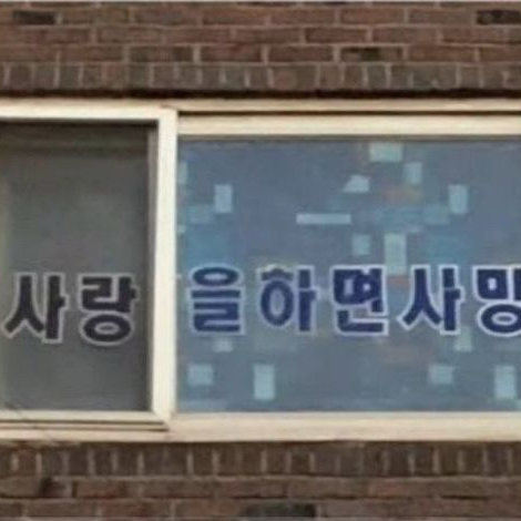 함께 추락할 용기도 없으면서 대표 이미지