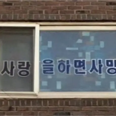 ToYourNight의 함께 추락할 용기도 없으면서