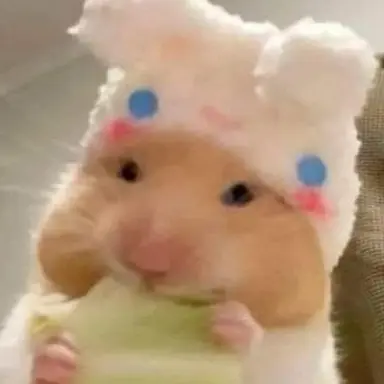 Profile image of 담임