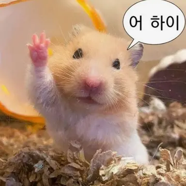 Profile image of 텔러