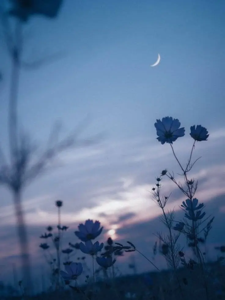 Kemuri_777_의 逆バニー