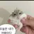여왕 햄찌