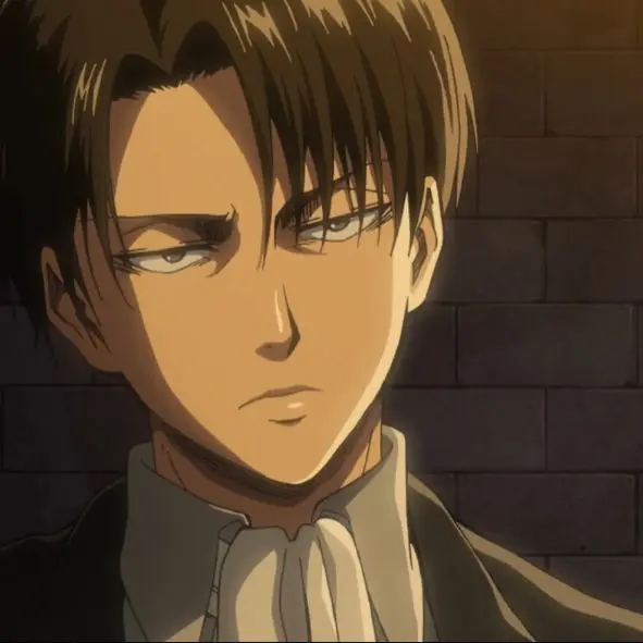 love_ackerman의 리바이 아커만