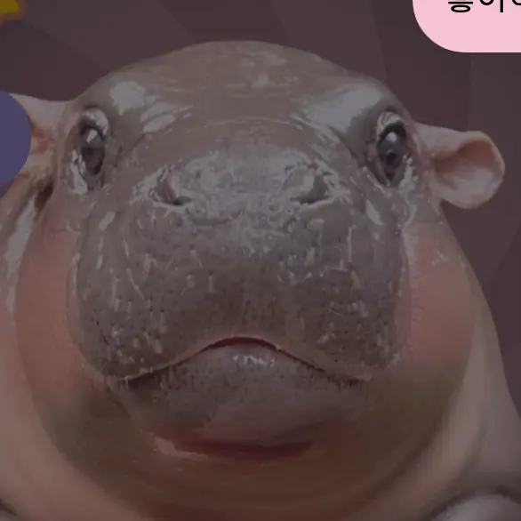 DenseWall5812의 너희 전남친이다 이뇬아