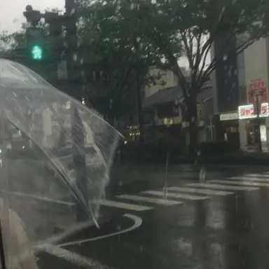 Profile image of 코코