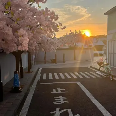 Profile image of 마이