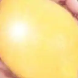 Profile image of クラウディア