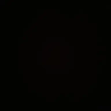 Profile image of 김동현