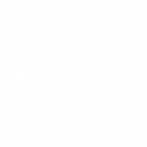 후루사와 리사