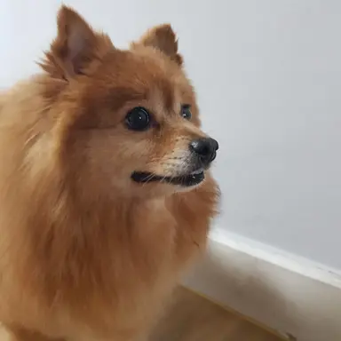 Profile image of 앤디