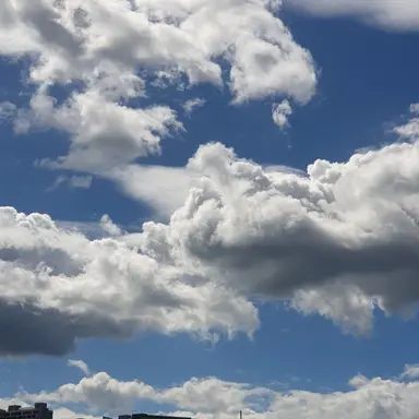 Profile image of 댄디