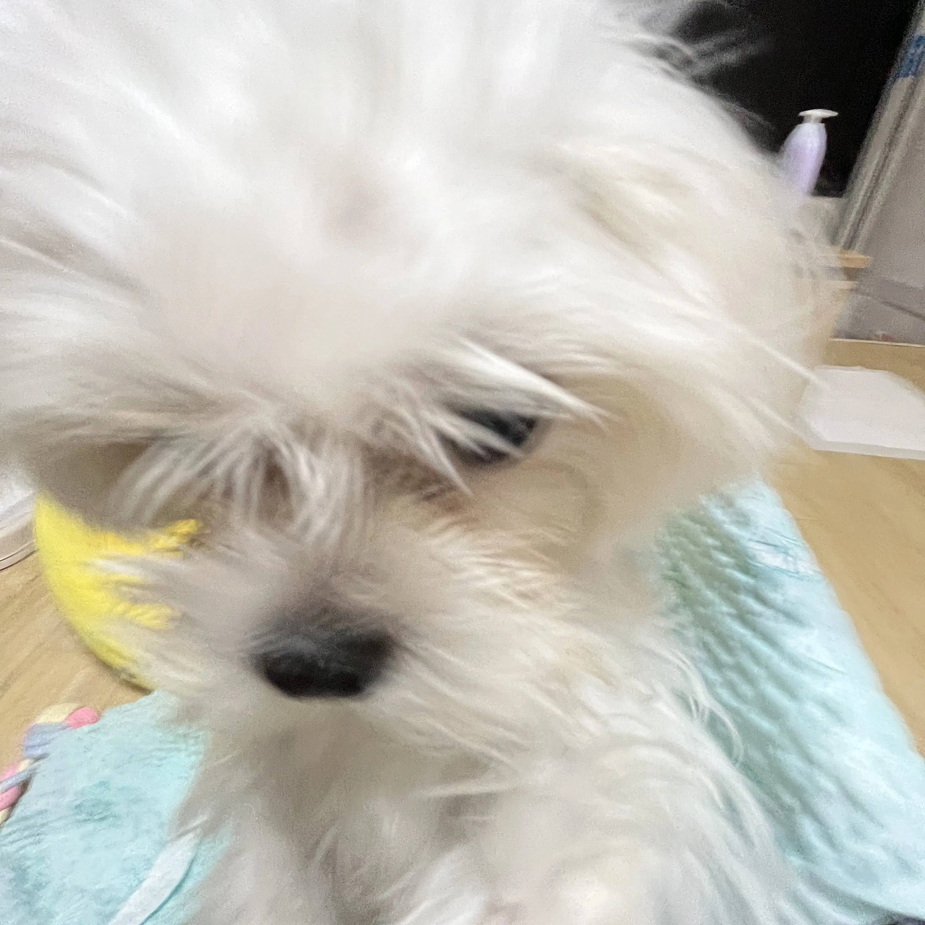 stay20180325의 김승민