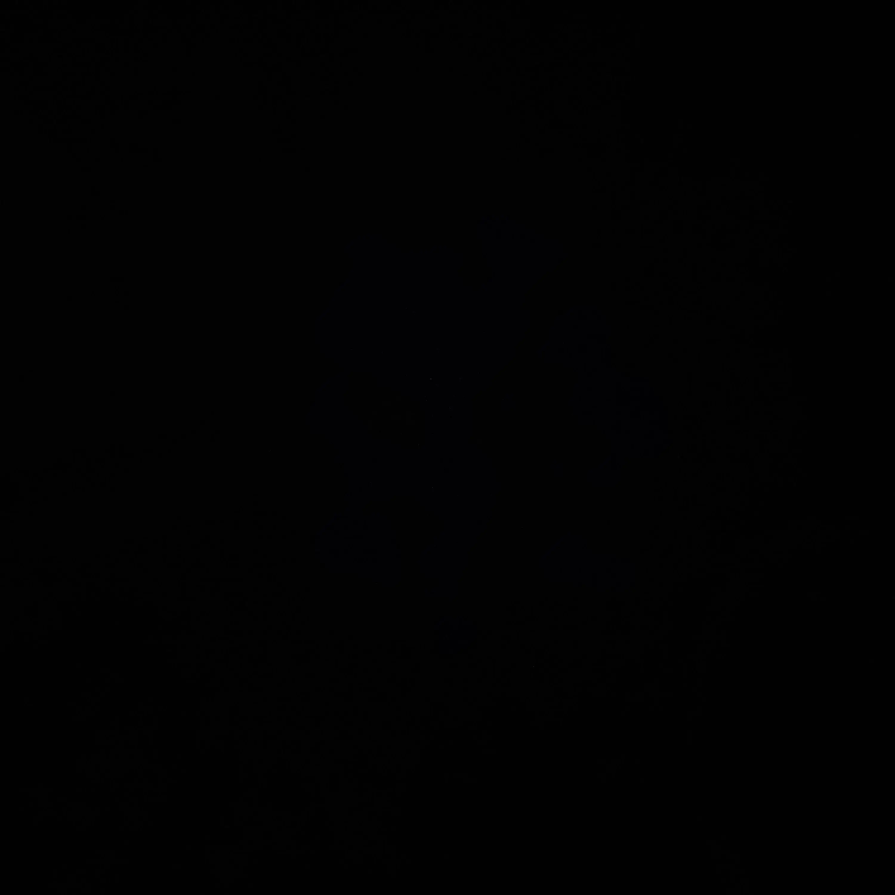 IllStool8054의 NC다이노스 노가현 치어리더 매니저