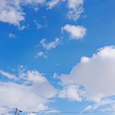 Profile image of 長尾謙杜