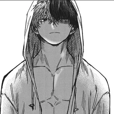 ScenicVise6337의 Shoto Todoroki -BF-