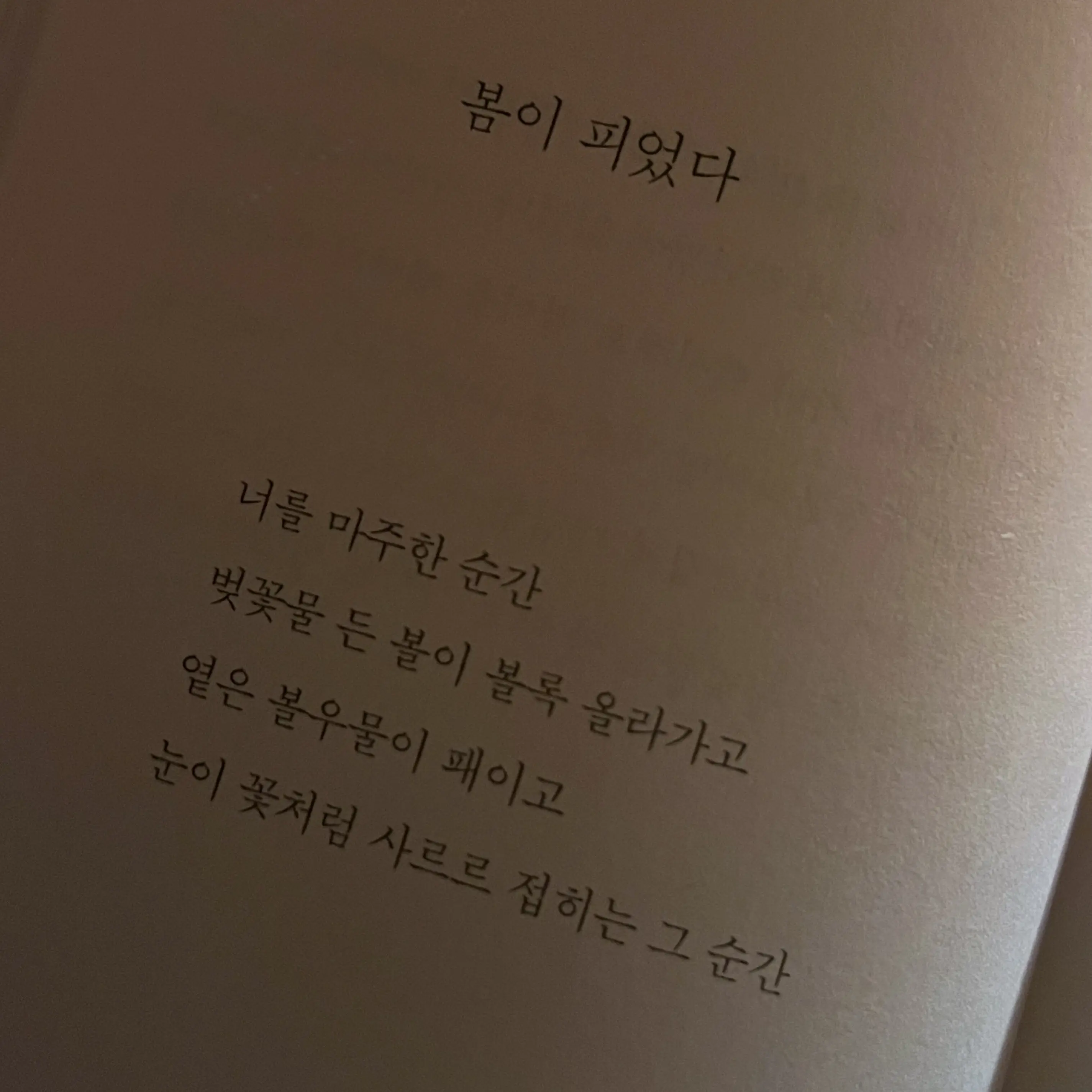 bixb____anx의 빅뱅